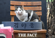 [포토기획] 길손에서 복권집 복덩이로 야웅이의 묘생역전