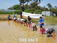 김포시 아라농장에서 도시 텃밭 가꾸세요