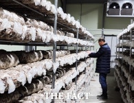 늘품농장 최승룡 대표, 전국 최고 ‘버섯 왕’ 노린다