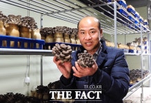 늘품농장 최승룡 대표, 전국 최고 ‘버섯 왕’ 노린다