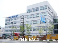 40대 몰던 오토바이에 치여 숨진 60대 여성 숨져