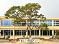 진주 K-기업가정신센터 부자소나무, 경남도 보호수 지정