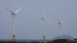 [르포] 국내 최초 해상풍력 7년째…상권 살아나고 어획량 늘어