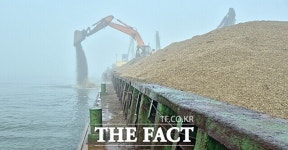 태안군, 근소만 소원권역 청정어장 재생 사업 본격 추진