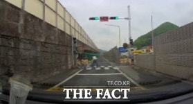 빨간불에 아이들 무단횡단 시킨 창원 유치원 교사 논란