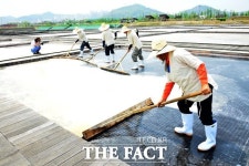 시흥시, 시흥염전 소금제 ‘소금꽃, 스며들다’ 26일 개최