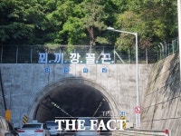 부산 대연터널 위에 꾀·끼·깡·꼴·끈…시민들 대체 뭐지?