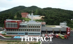 청송서 벌침 나눠 맞은 60대 여성 3명 병원 이송