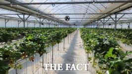 신안군, 임대농장 청년 농업인 모집