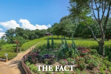 구름 위의 산책…낭만 가득한 시흥시 은계호수공원 [TF 사진관]