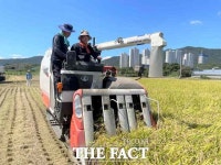 농협중앙회 대전본부-한국새농민 대전시회, 상생·협력농장 벼수확