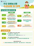 가격 급등 '금 배추'에…중국산 들어온다