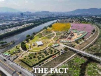 대구시, 금호강 하중도에서 2024 대구정원박람회 개최