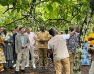 신동빈 롯데 회장, 아프리카 가나 방문…카카오 공급망 점검