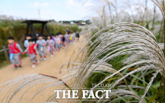 반가운 가을...은빛 억새로 물든 하늘공원 [TF사진관]