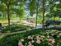 힐링과 삶의 터전 한꺼번에…정원 도시 탈바꿈하는 서울