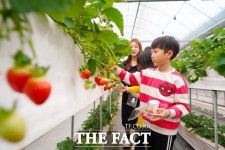광주 ‘향아딸기농원’·‘퇴촌식물원’ 농촌교육농장 품질 인증