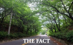 대청호수로, 문체부 자전거 자유여행코스 60선 선정