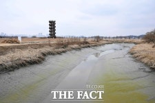 설 맞는 시흥시 갯골생태공원 겨울 풍경 [TF 사진관]