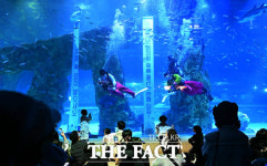 물 속 친구들과 함께 전하는 새해 인사 [TF사진관]