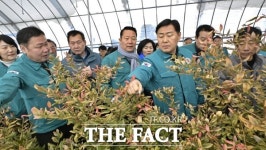 김관영 전북도지사, 순창군 폭설 현장 찾아 애로사항 청취