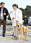 태백이주점 | '신참' 태백이와 국회 순회 훈련하는 김예지 의원 [TF포착]
