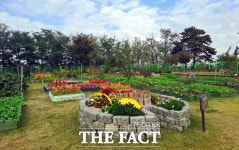 부천시, 고리울청춘농장 힐링텃밭 참여단체 모집