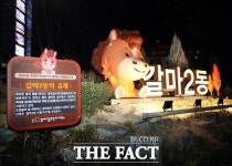 대전 서구 갈마2동 갈마루, 야간 조명 설치해 랜드마크로 변신