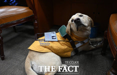 태백이 오늘은 복지위 출석 [TF사진관]