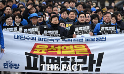 尹 파면 향해…7차 행진 이어가는 더불어민주당 [TF사진관]