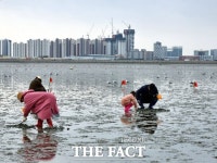 시흥시, 오이도 어촌체험휴양마을 제2체험장 4월 1일 신규 개장