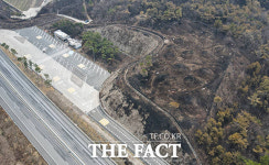 [포토 르포] 역대 최악 규모 꽃 피는 4월의 문턱…잿빛으로 변한 경북