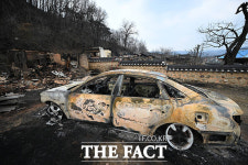 [포토 르포] 역대 최악 규모 꽃 피는 4월의 문턱…잿빛으로 변한 경북