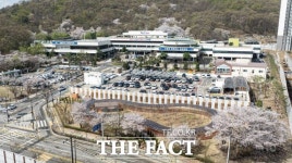 벚꽃 피면 웃음 핀다…의왕시청 벚꽃 만발 [TF사진관]