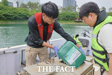 5년째 석촌호수 수질 개선 나선 롯데-송파구청 [TF사진관]
