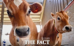 경기도 1호 저지 전용목장 탄생