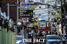 서울 옥인동 휴먼타운 2.0 본격화…4층 신축·리모델링 가능해진다