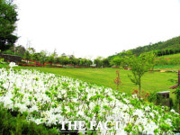 아산 영인산자연휴양림, 수해 복구 마치고 9월 2일 전면 개장