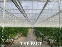 남원시, 청년창업 스마트팜 패키지 접수…19일까지