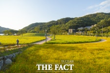 가을꽃 만나러 떠나요…경기관광공사 여행지 6선 추천