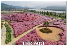 합천군, 가을 정취 절정 만끽할 축제 풍성