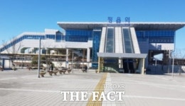 구절초 보고 단풍 즐기고…정읍의 가을밤은 달빛장터로