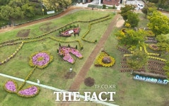 대전 중구, 가을 향기 가득한 서대전광장 꽃정원 조성