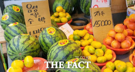 중소형마트도 산지 직거래…온라인도매시장 확산