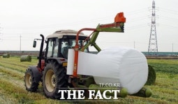 정읍시, 농식품부 조사료 전문단지 조성사업 공모 선정…국비 36억원 확보