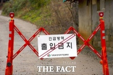 당진 송산면 무수리 ASF 확진…시, 긴급 대응 ‘총력’