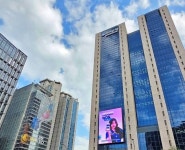 우리은행 생산적 금융·미래성장 위한 조직개편·임원인사