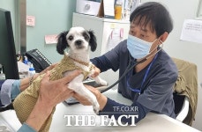 성남시립동물병원, 진료 대상 시민에 입양된 유실·유기동물 확대