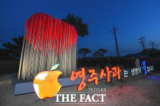 [취재석] 사과의 도시 영주, 교육에서 경쟁력 찾다