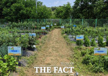 대전 유성구, 도심 속 친환경 농장 공동체 텃밭 운영